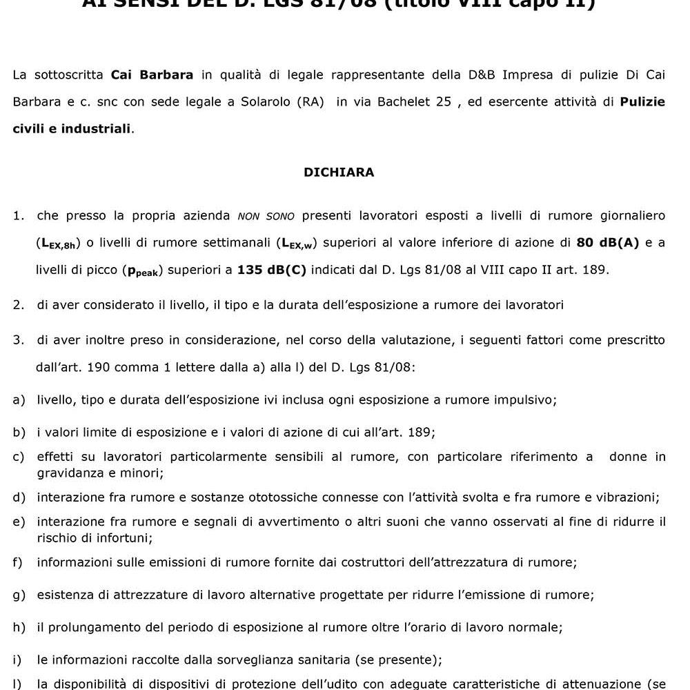 valutazione rumore legge 81-08